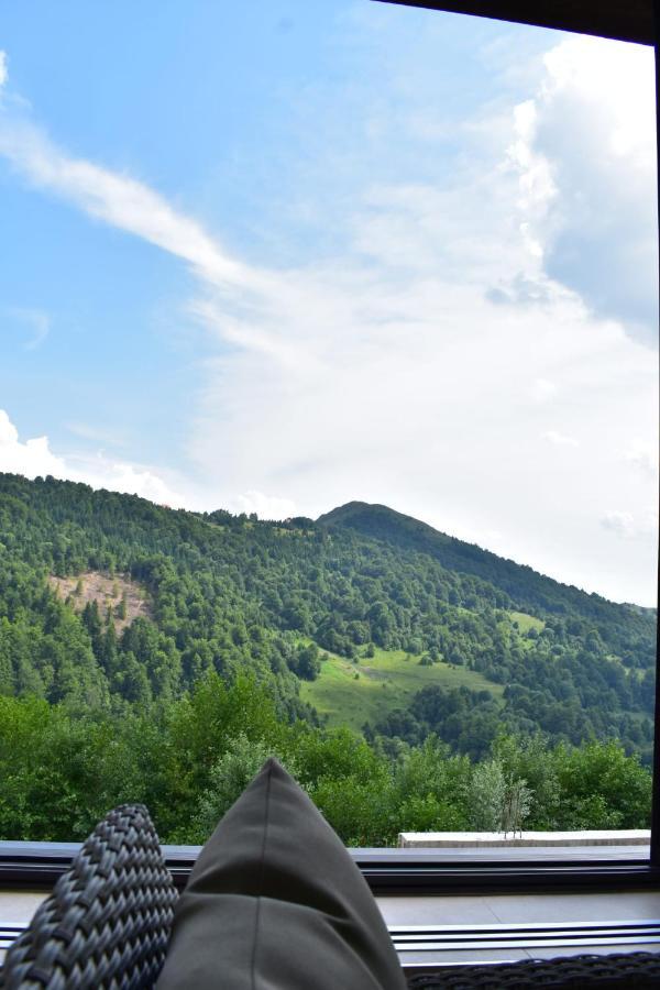 Silver View Kopaonik Bagian luar foto