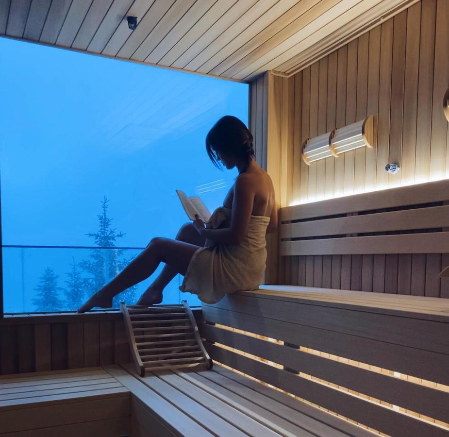 Silver View Kopaonik Bagian luar foto